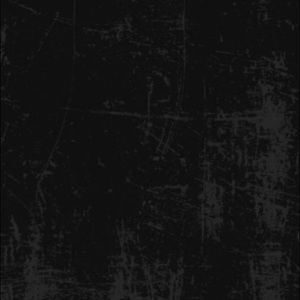 Meet your Posher, Kaila